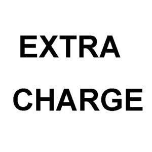 商品、送料等の追加料金