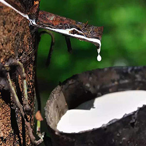 made by natural-rubber